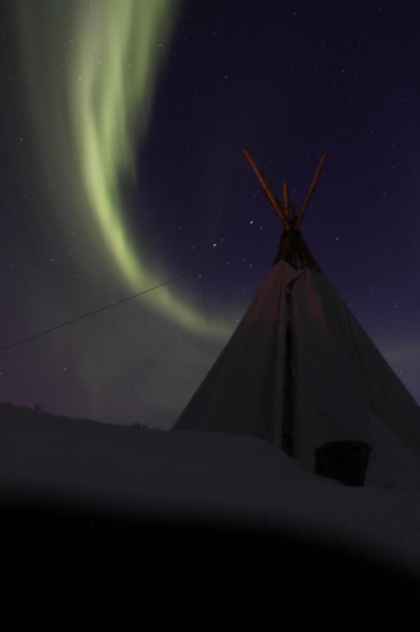 Lofoten Camp Stamsund Exterior photo